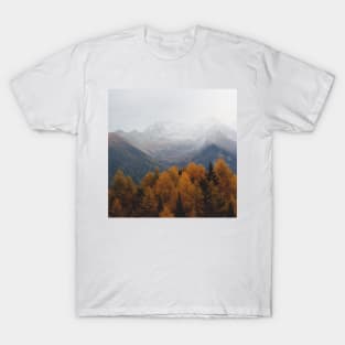 Autumn Trees T-Shirt